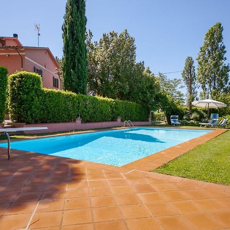 Podere Lo Stringaio Fauglia エクステリア 写真