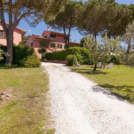 Podere Lo Stringaio Fauglia エクステリア 写真